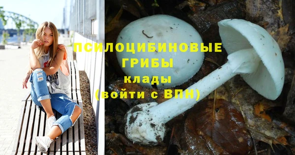 амф Нестеровская